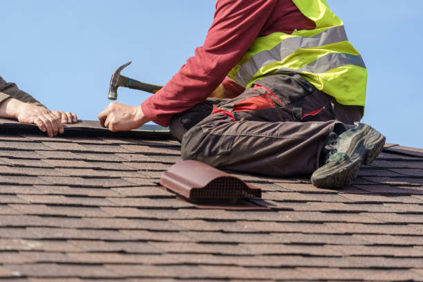 Best Roof Waterproofing Services  in Tripoli, IA