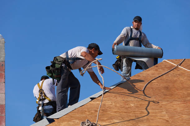 Roof Gutter Cleaning in Tripoli, IA